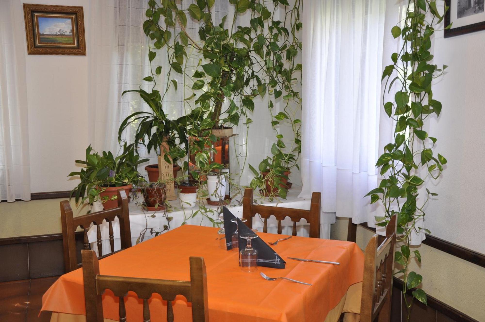 Hotel Castillo D'Acher Siresa Εξωτερικό φωτογραφία